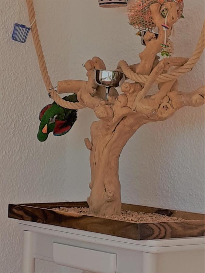 Casa Loro Loco B&B Pedralba Kültér fotó