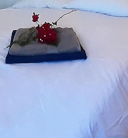 Casa Loro Loco B&B Pedralba Kültér fotó